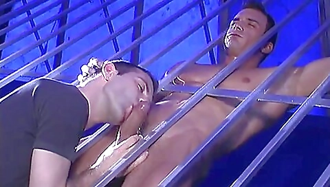 Passionate Lover Is Sucking A Dick Through The Rods